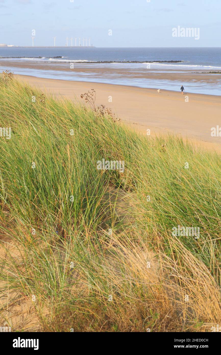 Belgio, Fiandre Occidentali, Knokke Heist, Knokke Beach con il Mare del Nord Foto Stock