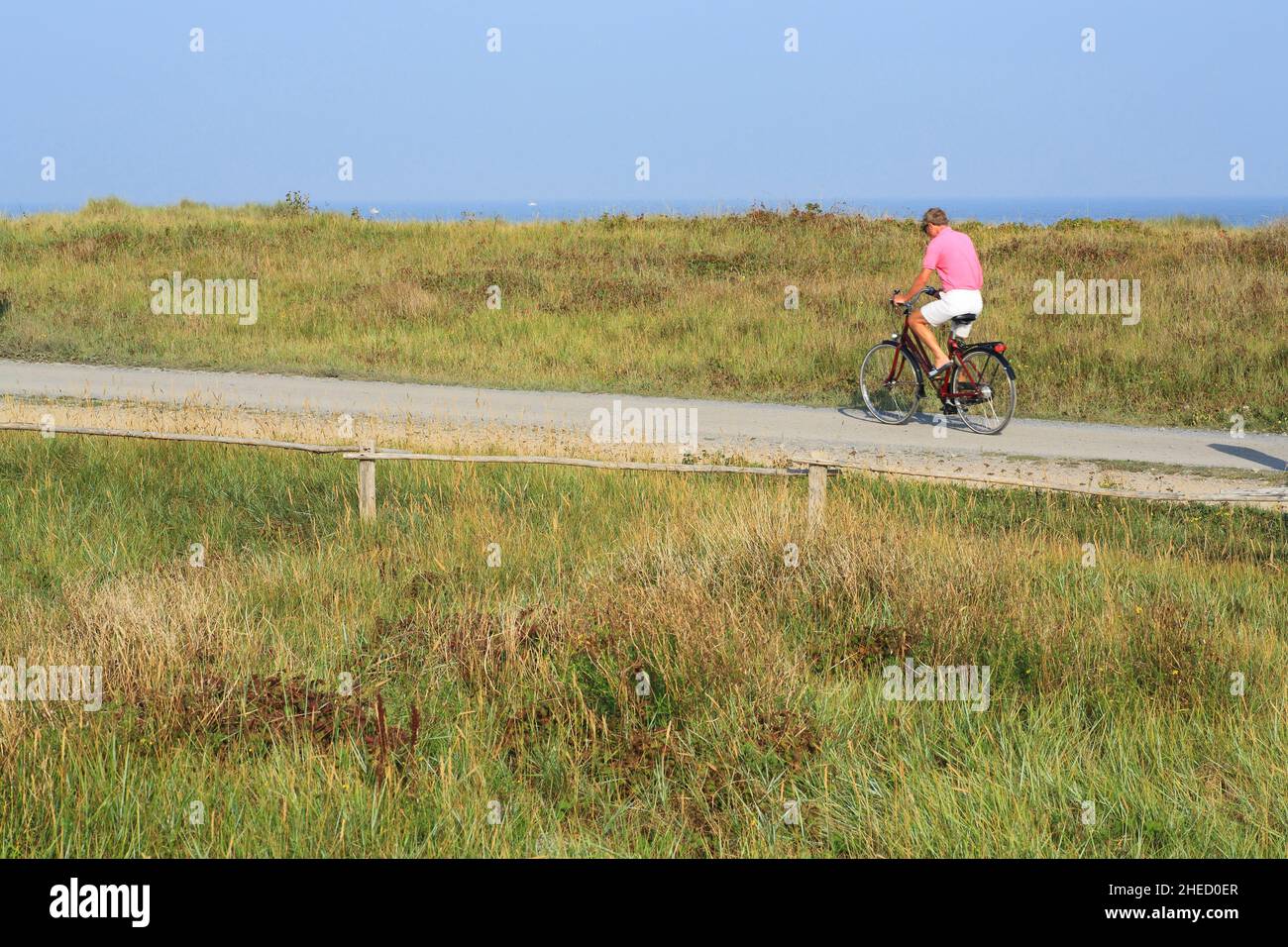 Belgio, Fiandre Occidentali, Knokke Heist, riserva naturale Zwin, giro in bicicletta Foto Stock