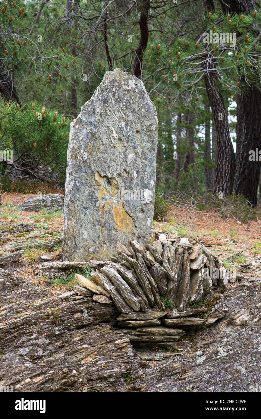 Francia, Lozere, dintorni di Saint-Germain-de-Calberte, Pierre Plant?e passare sul sentiero Stevenson o GR 70 Foto Stock