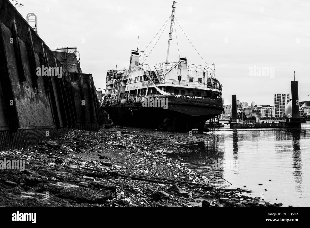 Il Royal Iris Foto Stock