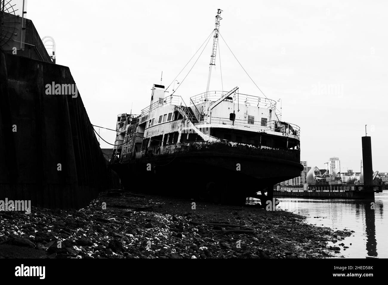 Il Royal Iris Foto Stock