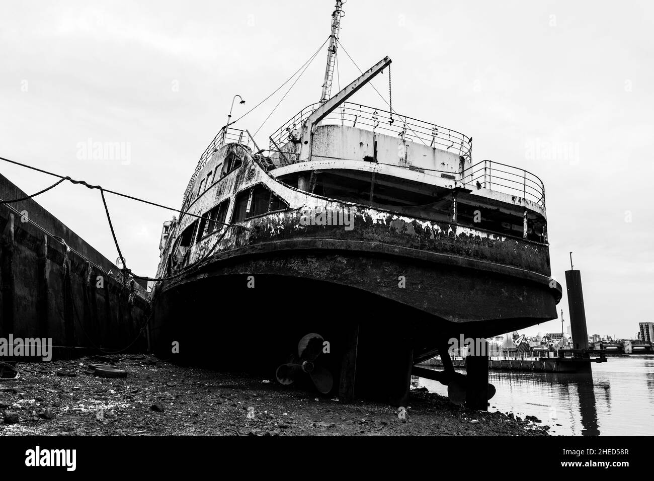 Il Royal Iris Foto Stock