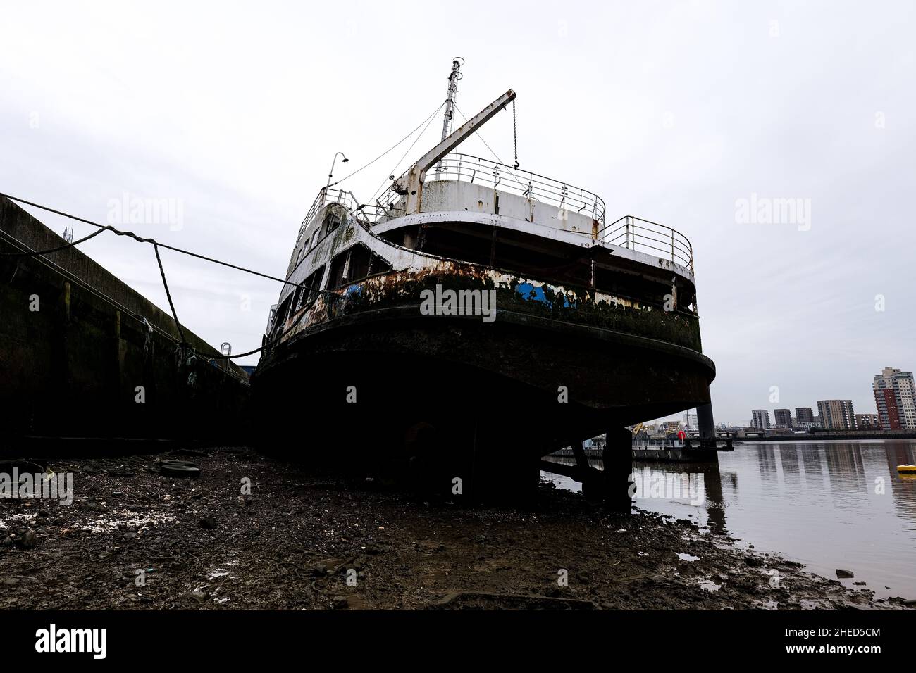 Il Royal Iris Foto Stock