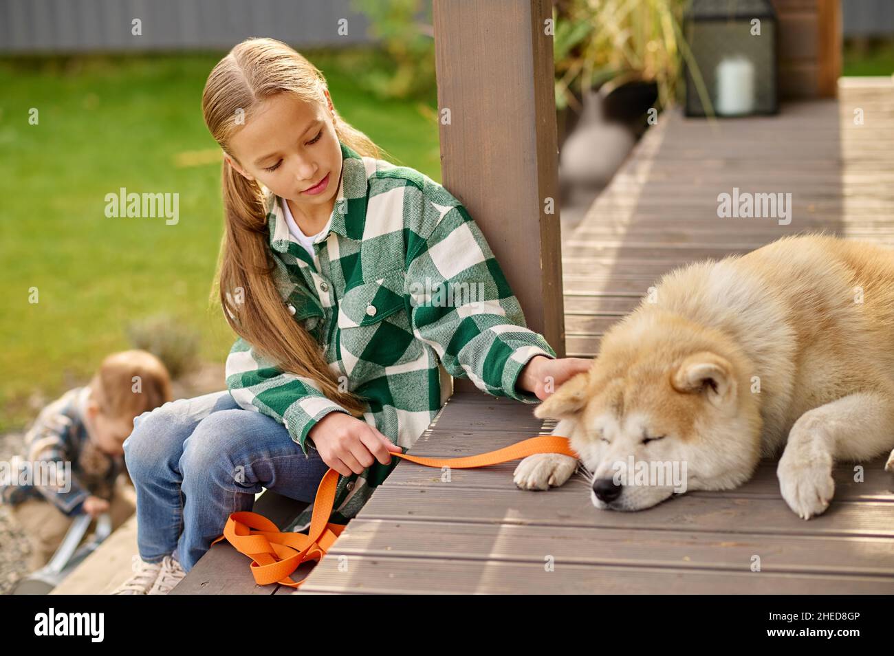 Ragazza seduta sul portico guardando toccare cane sdraiato Foto Stock