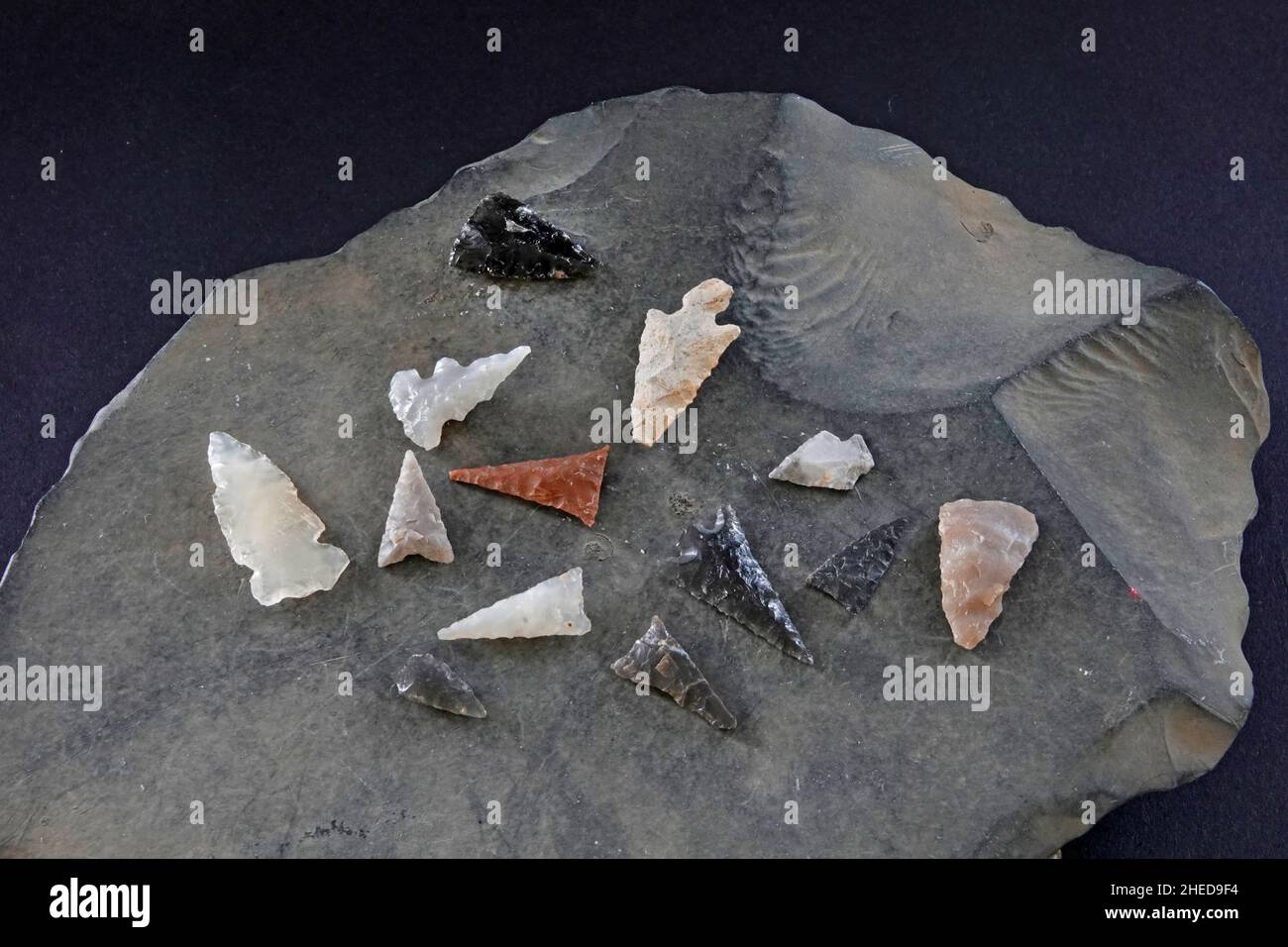 I punti preistorici del proiettile, conosciuti come 'punti dell'uccello', fatti da chert, selce, o ossidiana, scambiati a volte fra 800 d.C. e 1200 d.C., dagli artigiani f Foto Stock