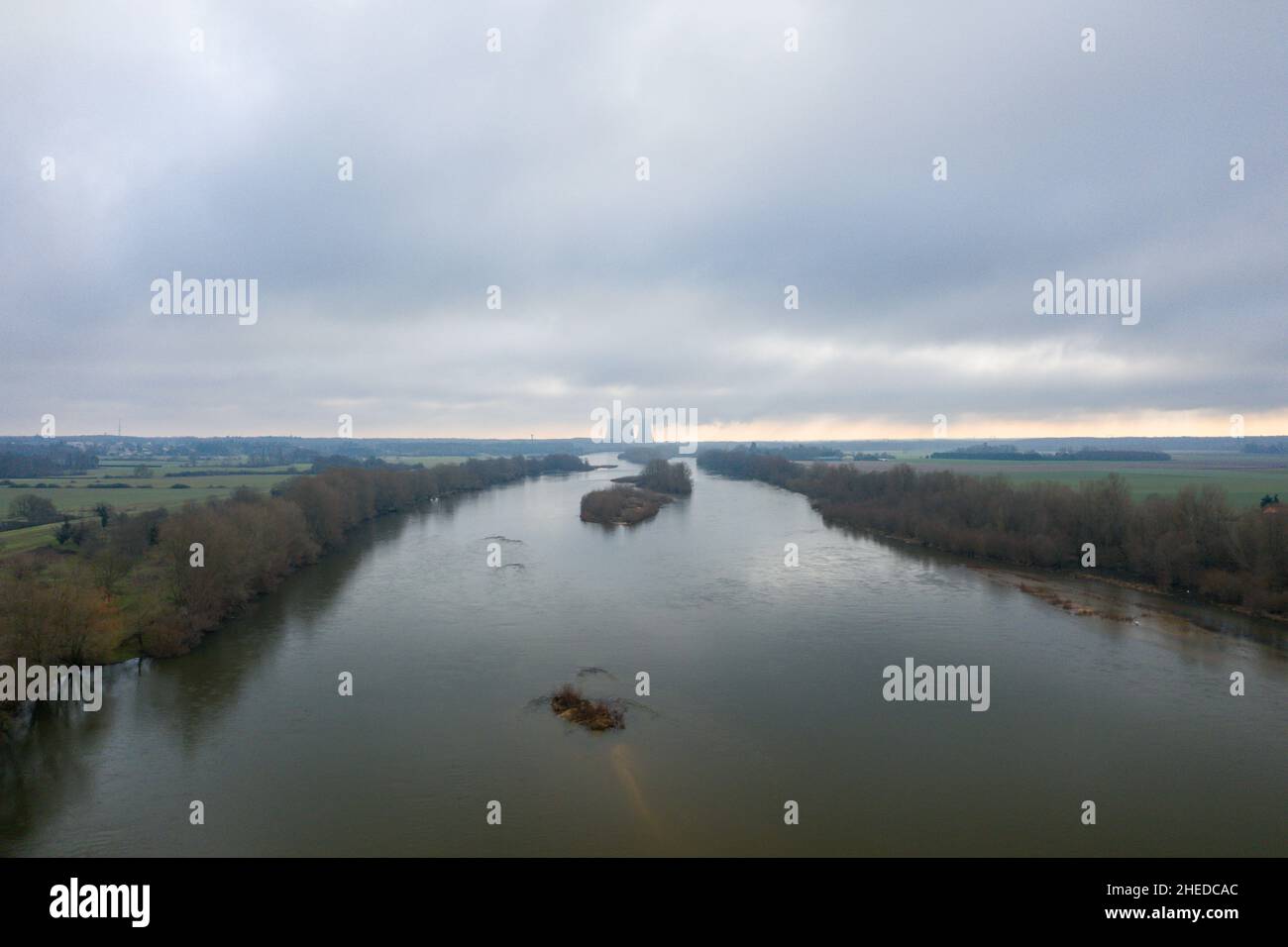 Questa foto di paesaggio è stata scattata in Europa, in Francia, nella regione del Centro, nel Loiret, nei pressi di Orleans, in inverno. Vediamo gli arbusti nel mezzo di Foto Stock