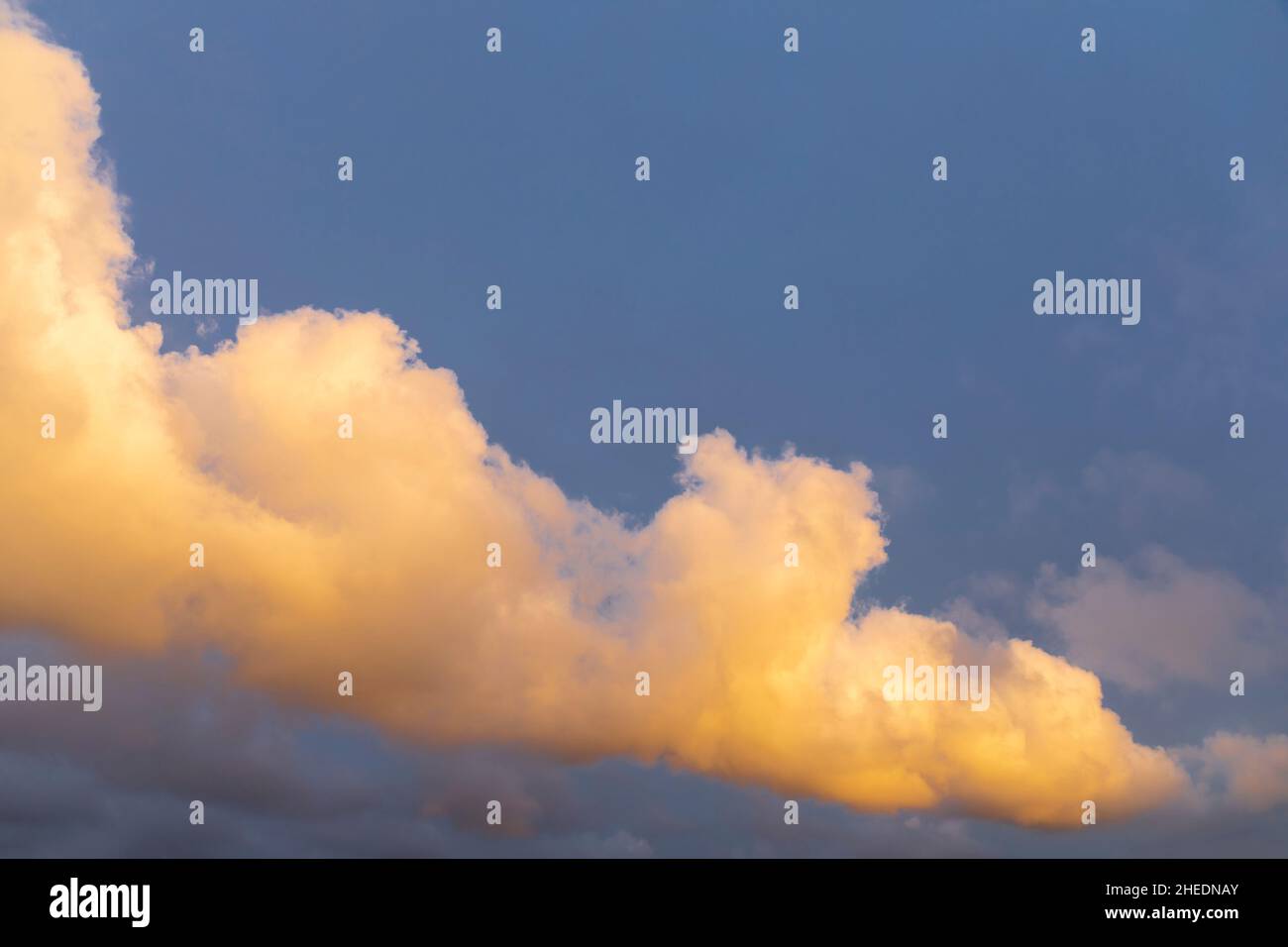 Nuvola di Cumulus al tramonto. Foto Stock