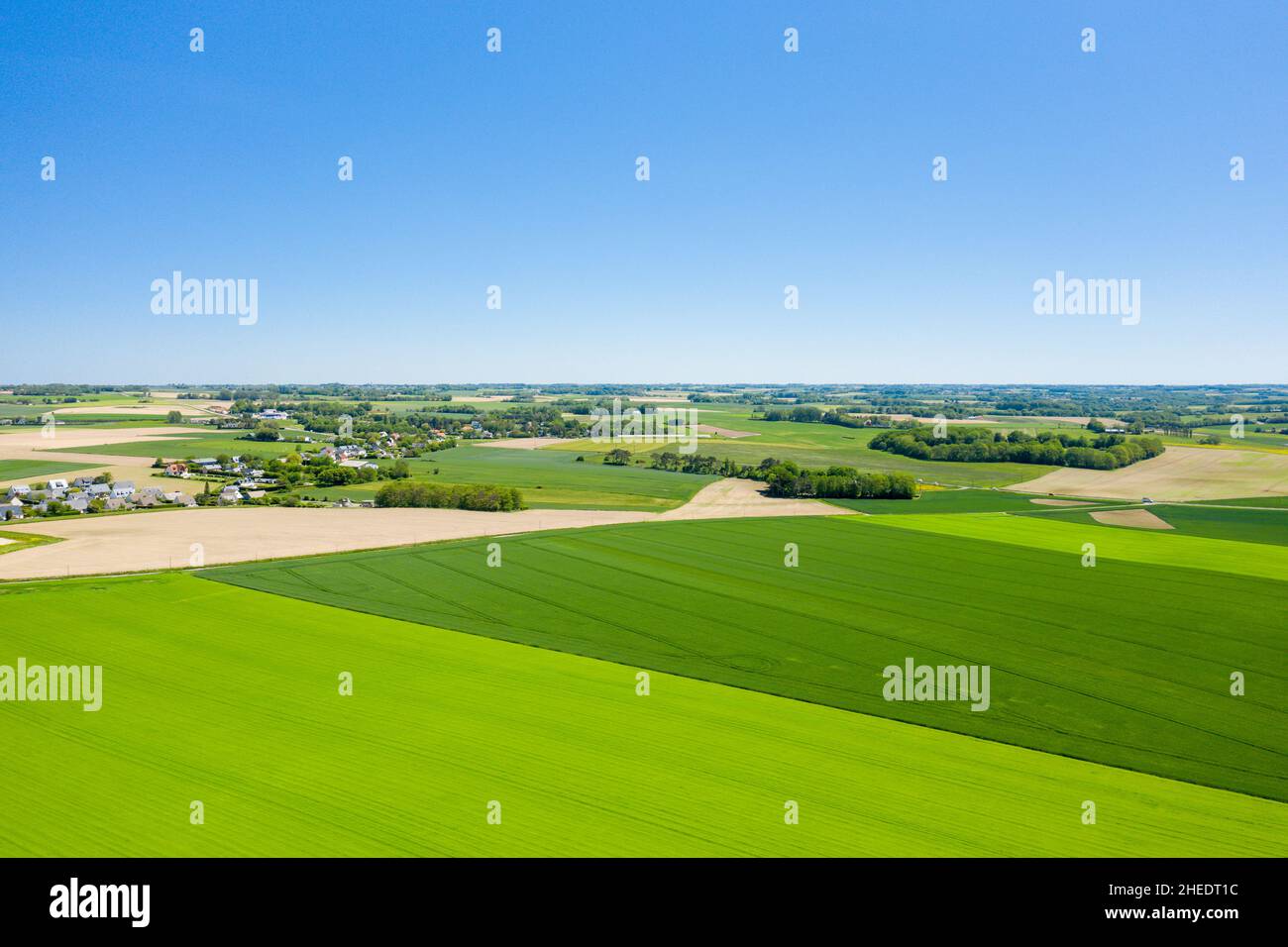 Questa foto di paesaggio è stata scattata in Europa, Francia, Normandia, vicino a Deauville, in estate. Vediamo il bocage Normanno e i suoi colori verdi, sotto il Sole. Foto Stock