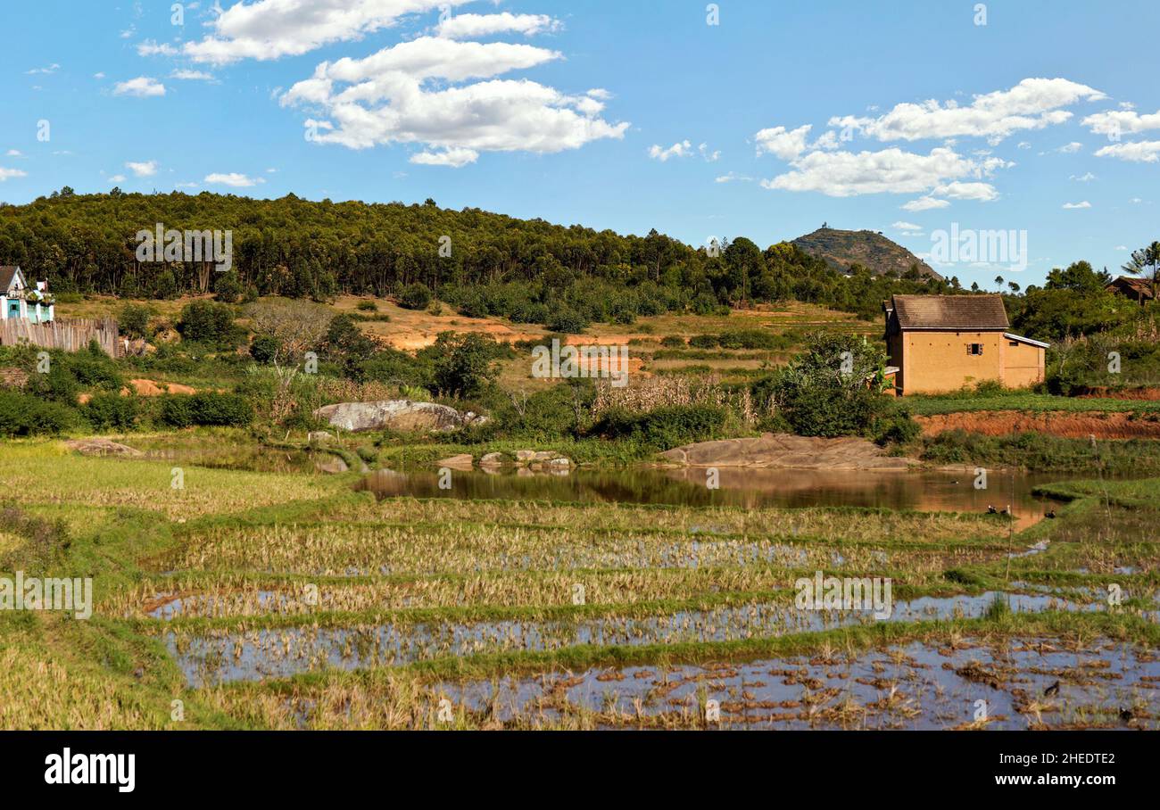 Paesaggio tipico durante la giornata di sole vicino Ankafina-Tsarapidy regione, case su piccole colline sfondo, campi di riso bagnato in primo piano Foto Stock