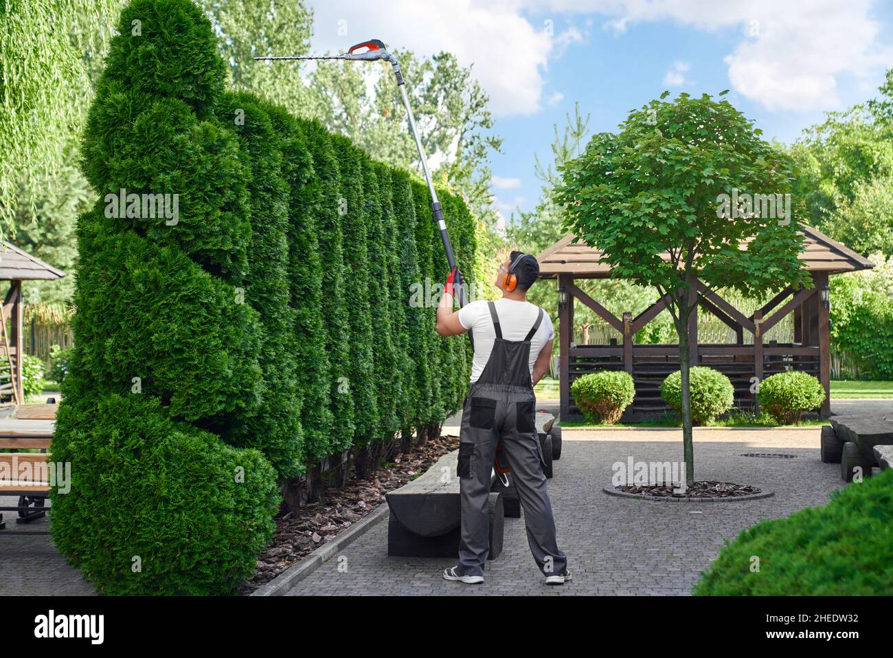 Vista posteriore del giardiniere maschile in uniforme e guanti tagliando siepe con macchina elettrica. L'uomo caucasico che fa il lavoro stagionale al giardino bello. Foto Stock