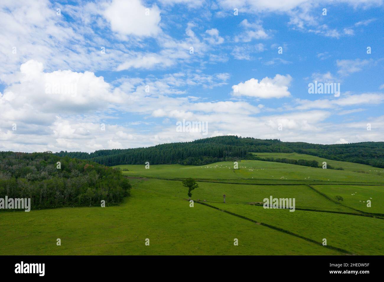 Questa foto di paesaggio è stata scattata in Europa, Francia, Borgogna, Nievre, Morvan, in estate. Possiamo vedere i campi verdi della campagna, sotto il sole. Foto Stock