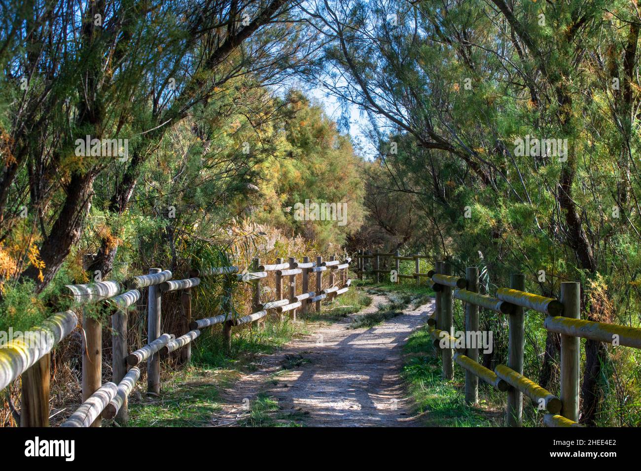 Paludi estese, o marismas e vie d'acqua Parc Natural dels Aiguamolls de l'Emporda Girona Catalunya Spagna Foto Stock