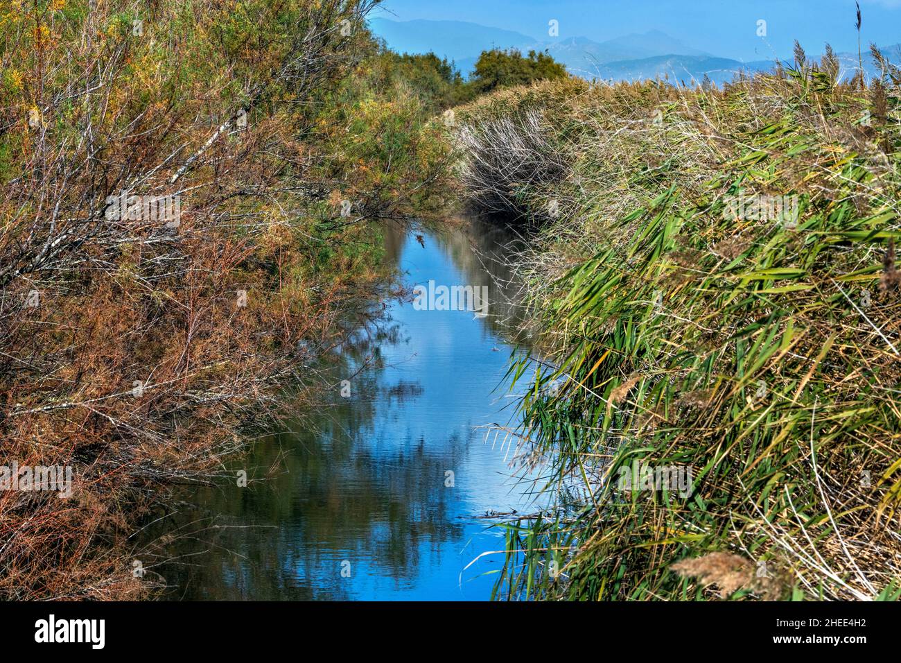 Paludi estese, o marismas e vie d'acqua Parc Natural dels Aiguamolls de l'Emporda Girona Catalunya Spagna Foto Stock
