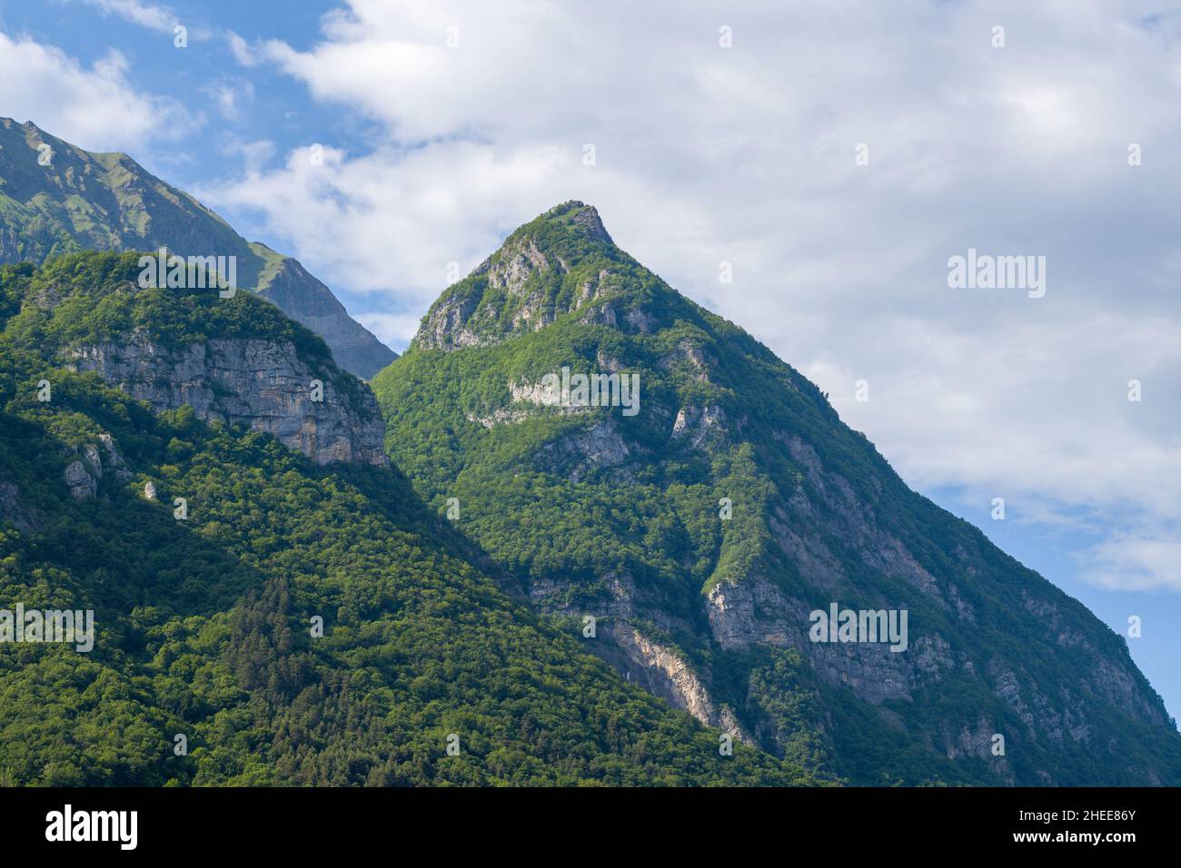 Questa foto di paesaggio è stata scattata in Europa, in Francia, in Isere, nelle Alpi, in estate. Possiamo vedere il Massif des Bauges e la sua splendida foresta verde Foto Stock