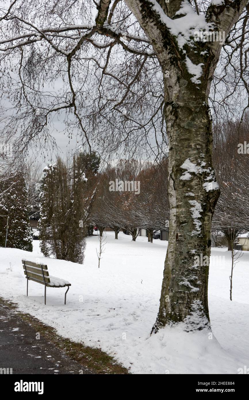 Panca coperta di neve e alberi a Vancouver, British Columbia, Canada Foto Stock