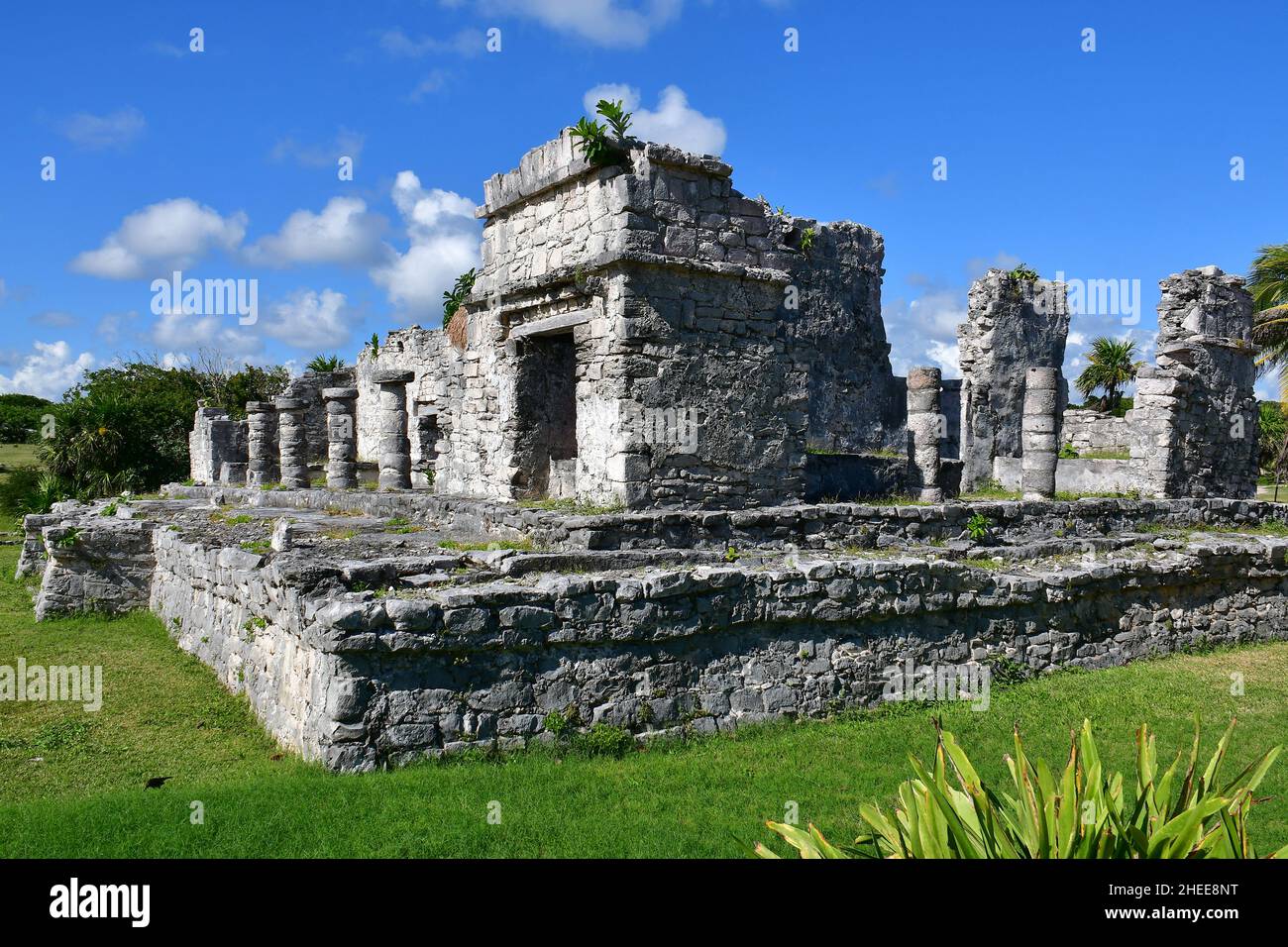 Tempio del Dio discendente (Templo del Dios discendente), rovina maya, Tulum, Quintana Roo, Penisola di Yucatán, Messico, Nord America Foto Stock