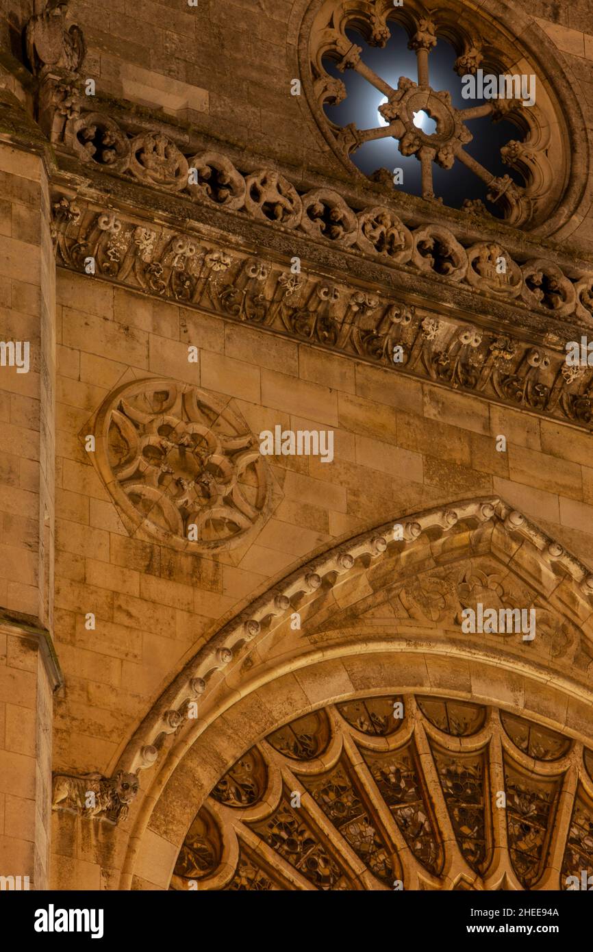 Cattedrale gotica di Leon. Castilla y Leon, Spagna Foto Stock