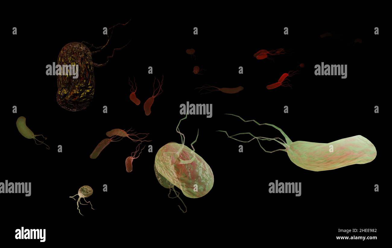 Superficie dei microvilli dell'apparato digerente, villi intestinali con batteri e virus. Villi microscopici, capillari per digestione e assorbimento Foto Stock