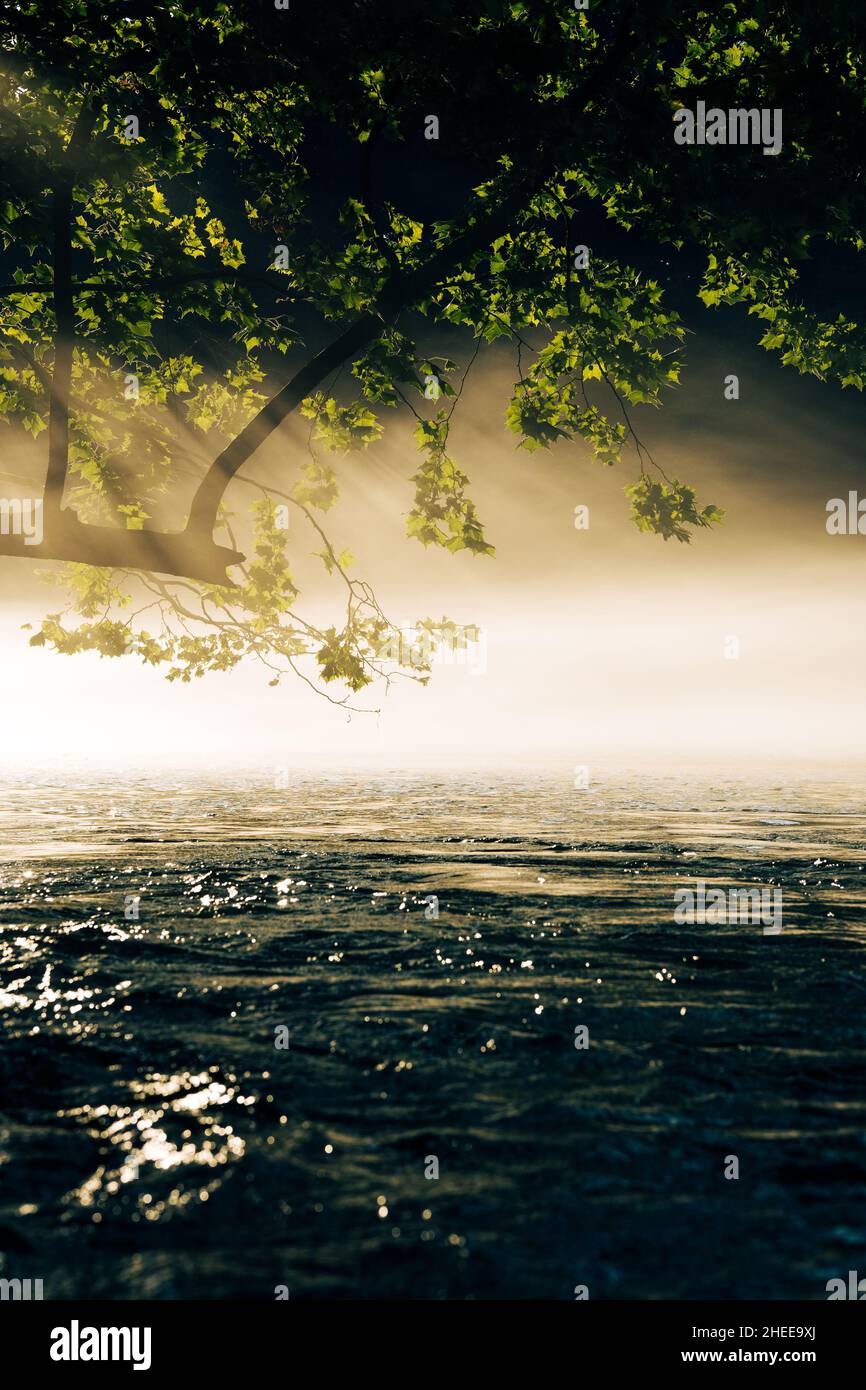 Fiume di sunrise Foto Stock