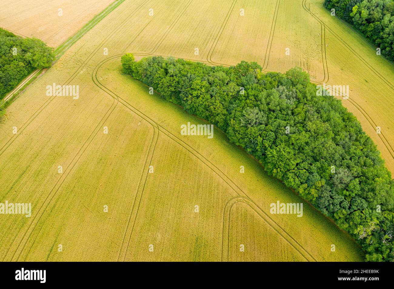 Questa foto di paesaggio è stata scattata in Europa, Francia, Borgogna, Nievre, in estate. Possiamo vedere foreste e campi di grano raccolto, sotto il Sole. Foto Stock