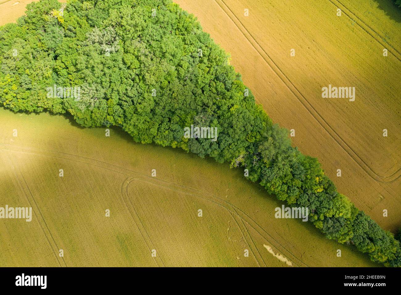 Questa foto di paesaggio è stata scattata in Europa, Francia, Borgogna, Nievre, in estate. Vediamo le foreste nel mezzo dei campi di grano raccolti, sotto la S Foto Stock