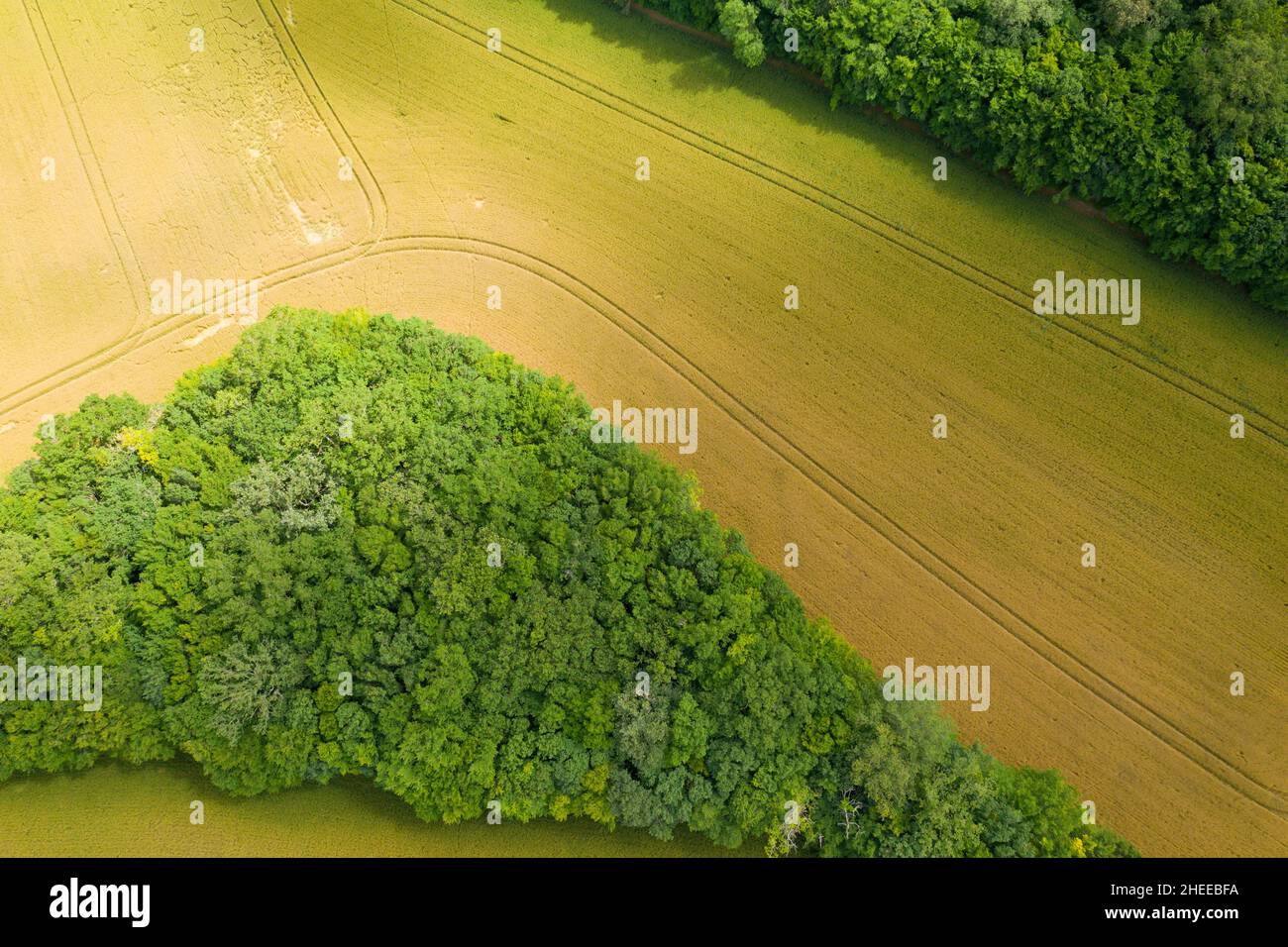 Questa foto di paesaggio è stata scattata in Europa, Francia, Borgogna, Nievre, in estate. Vediamo la campagna arida con i suoi campi di grano e foreste, sotto il Th Foto Stock