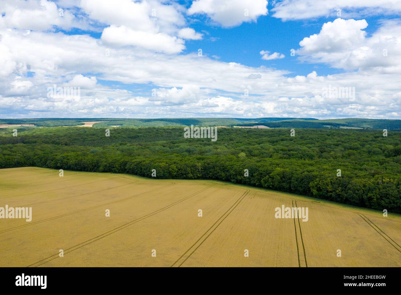 Questa foto di paesaggio è stata scattata in Europa, Francia, Borgogna, Nievre, in estate. Vediamo una foresta lungo un campo di grano dopo il raccolto, sotto il Sole. Foto Stock
