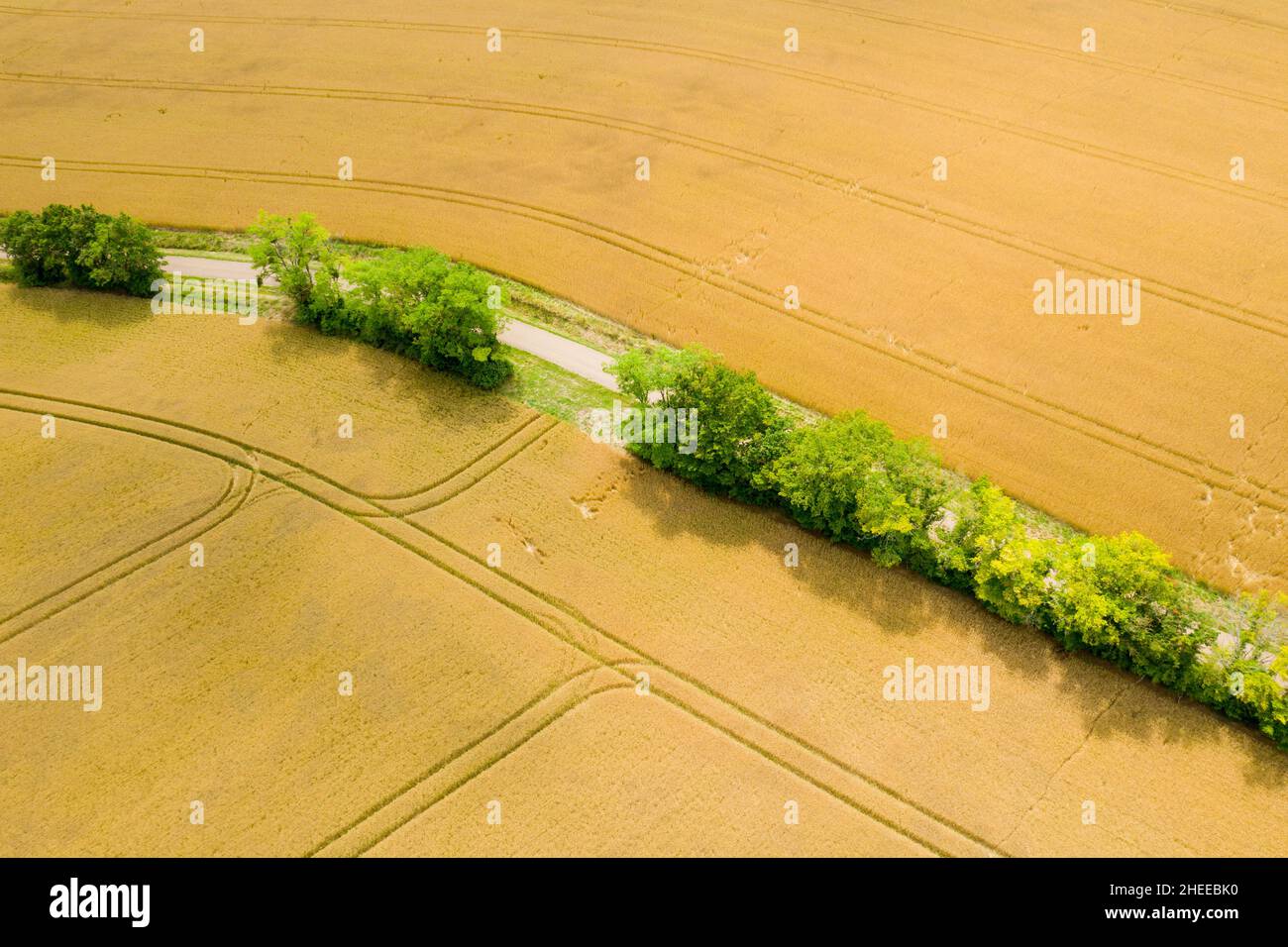 Questa foto di paesaggio è stata scattata in Europa, Francia, Borgogna, Nievre, in estate. Vediamo una strada nel mezzo dei campi di grano dopo il raccolto, unde Foto Stock