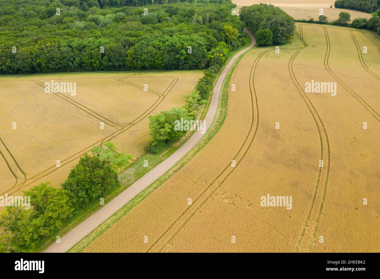 Questa foto di paesaggio è stata scattata in Europa, Francia, Borgogna, Nievre, in estate. Vediamo una strada in mezzo alle foreste e ai campi di grano, sotto il sole. Foto Stock