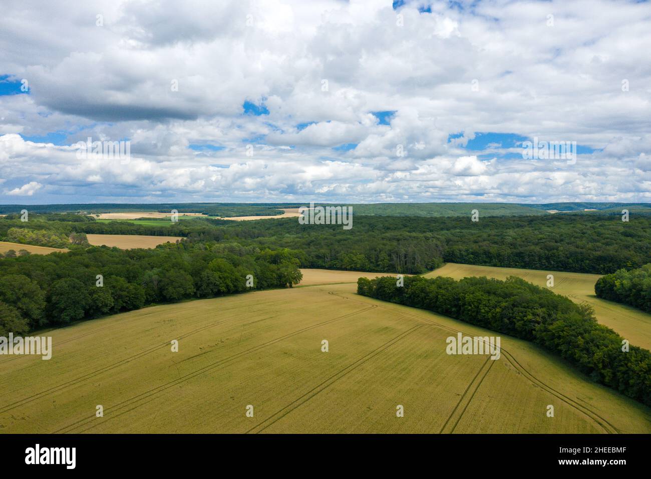 Questa foto di paesaggio è stata scattata in Europa, Francia, Borgogna, Nievre, in estate. Possiamo vedere la campagna francese e i suoi campi di grano raccolto, sotto Foto Stock