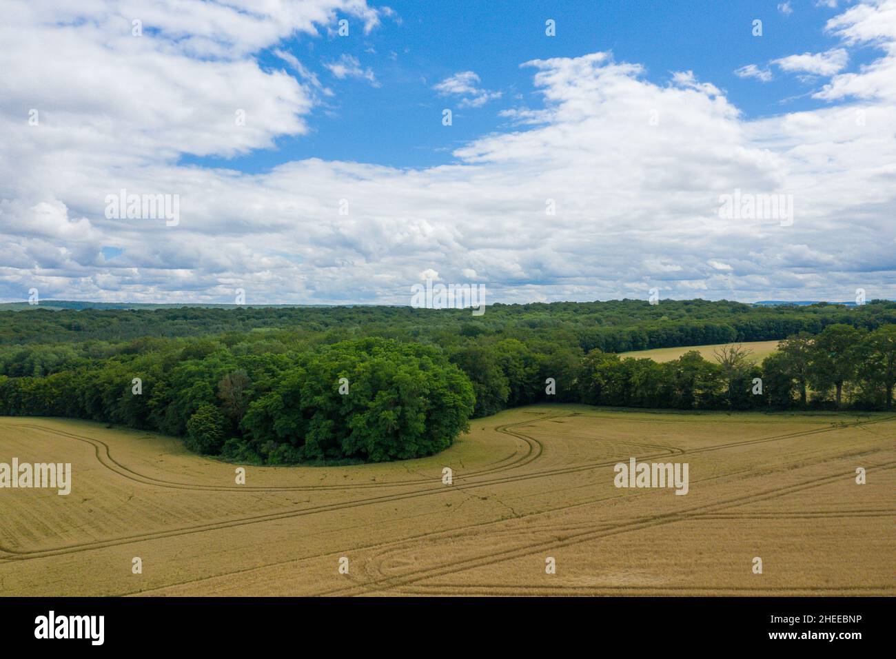 Questa foto di paesaggio è stata scattata in Europa, Francia, Borgogna, Nievre, in estate. Vediamo le foreste e i campi della campagna francese, sotto il sole. Foto Stock