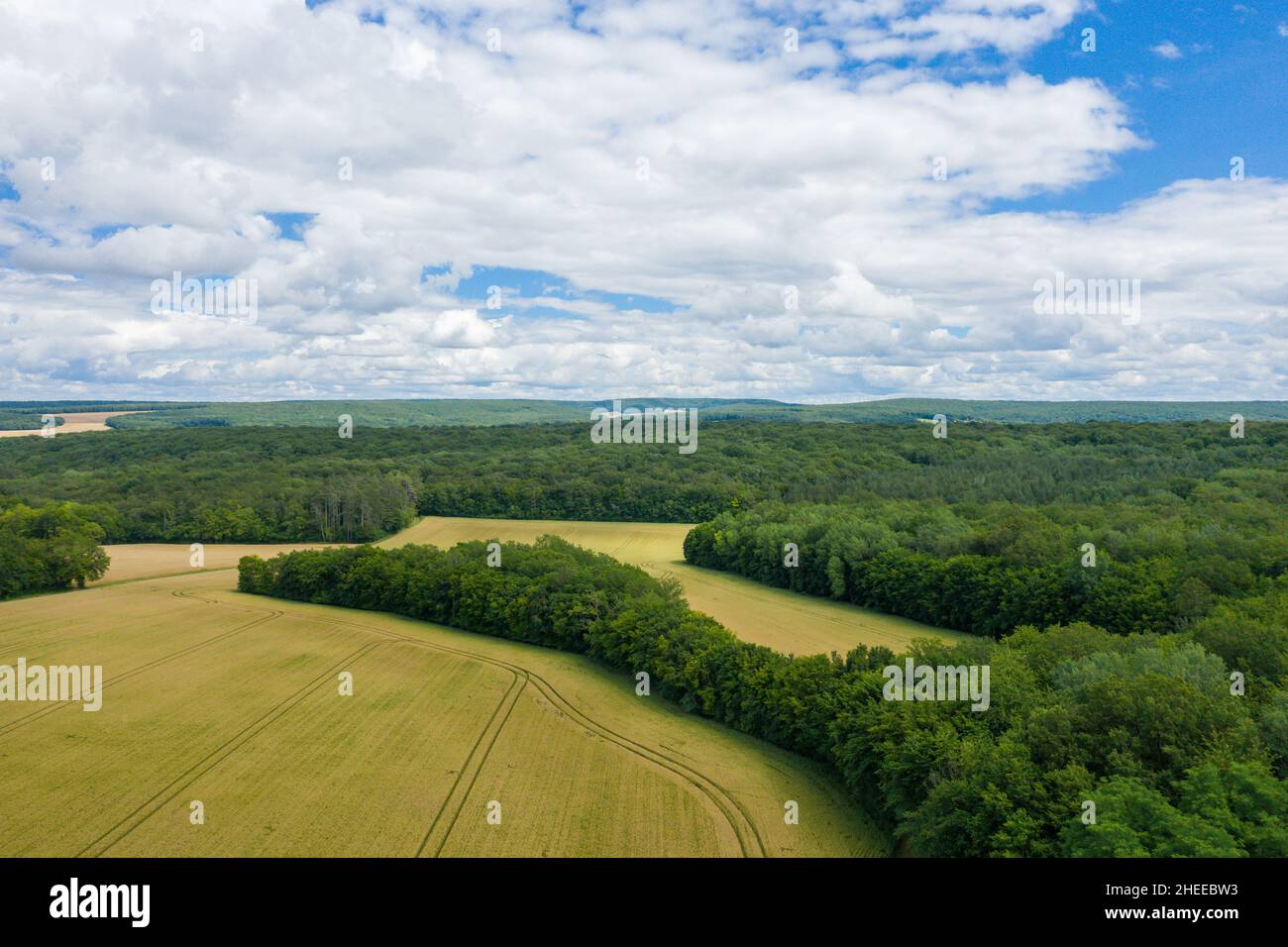 Questa foto di paesaggio è stata scattata in Europa, Francia, Borgogna, Nievre, in estate. Vediamo la campagna francese con foreste e campi di grano dopo la h Foto Stock