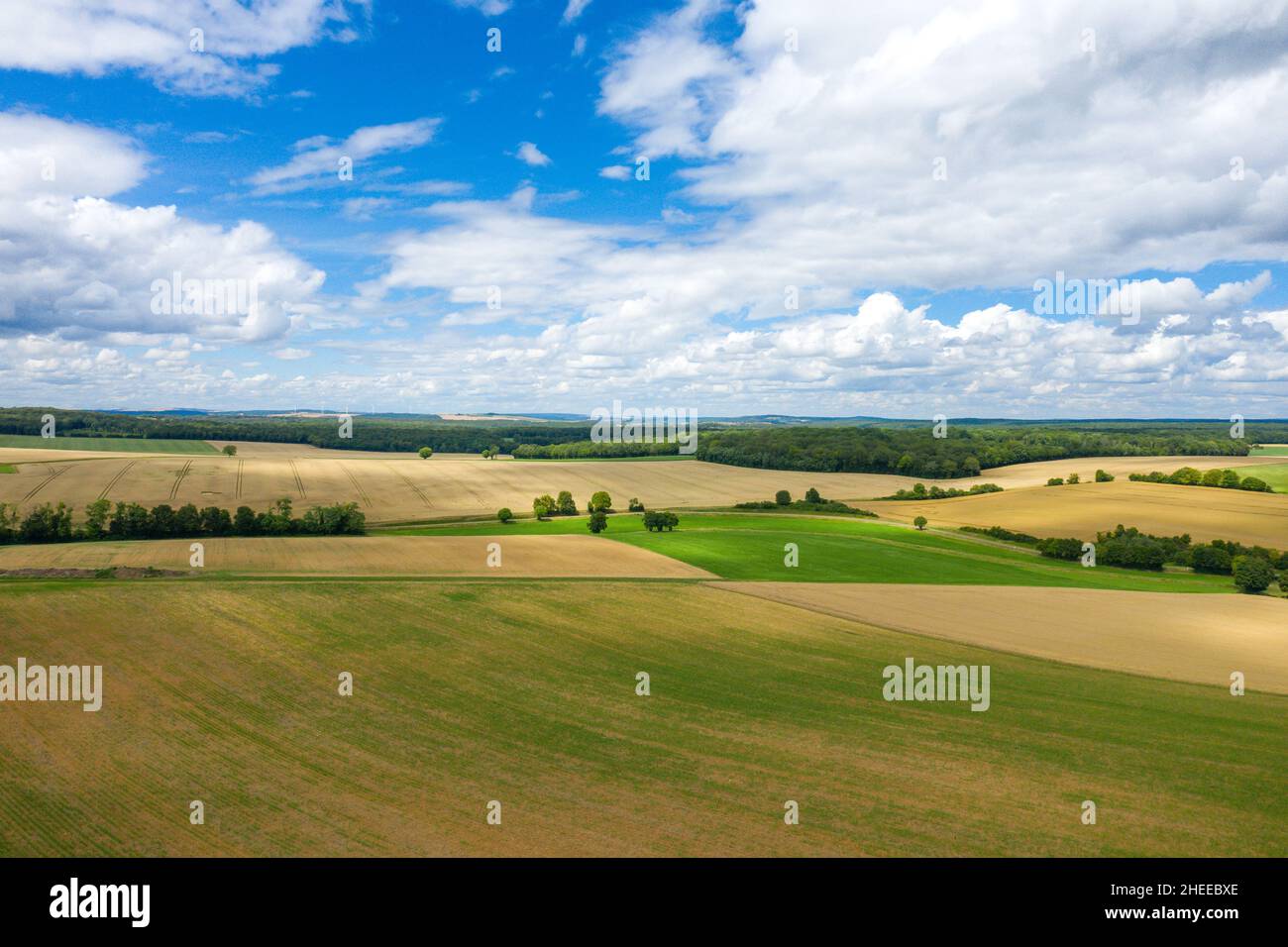 Questa foto di paesaggio è stata scattata in Europa, Francia, Borgogna, Nievre, in estate. Vediamo la magnifica campagna francese e i suoi campi di giallo e. Foto Stock