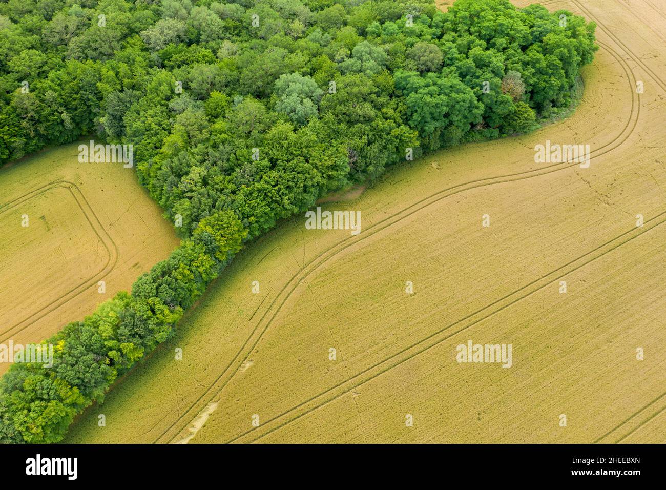 Questa foto di paesaggio è stata scattata in Europa, Francia, Borgogna, Nievre, in estate. Vediamo la parola d'ordine dei campi e delle foreste nella campagna francese, u Foto Stock