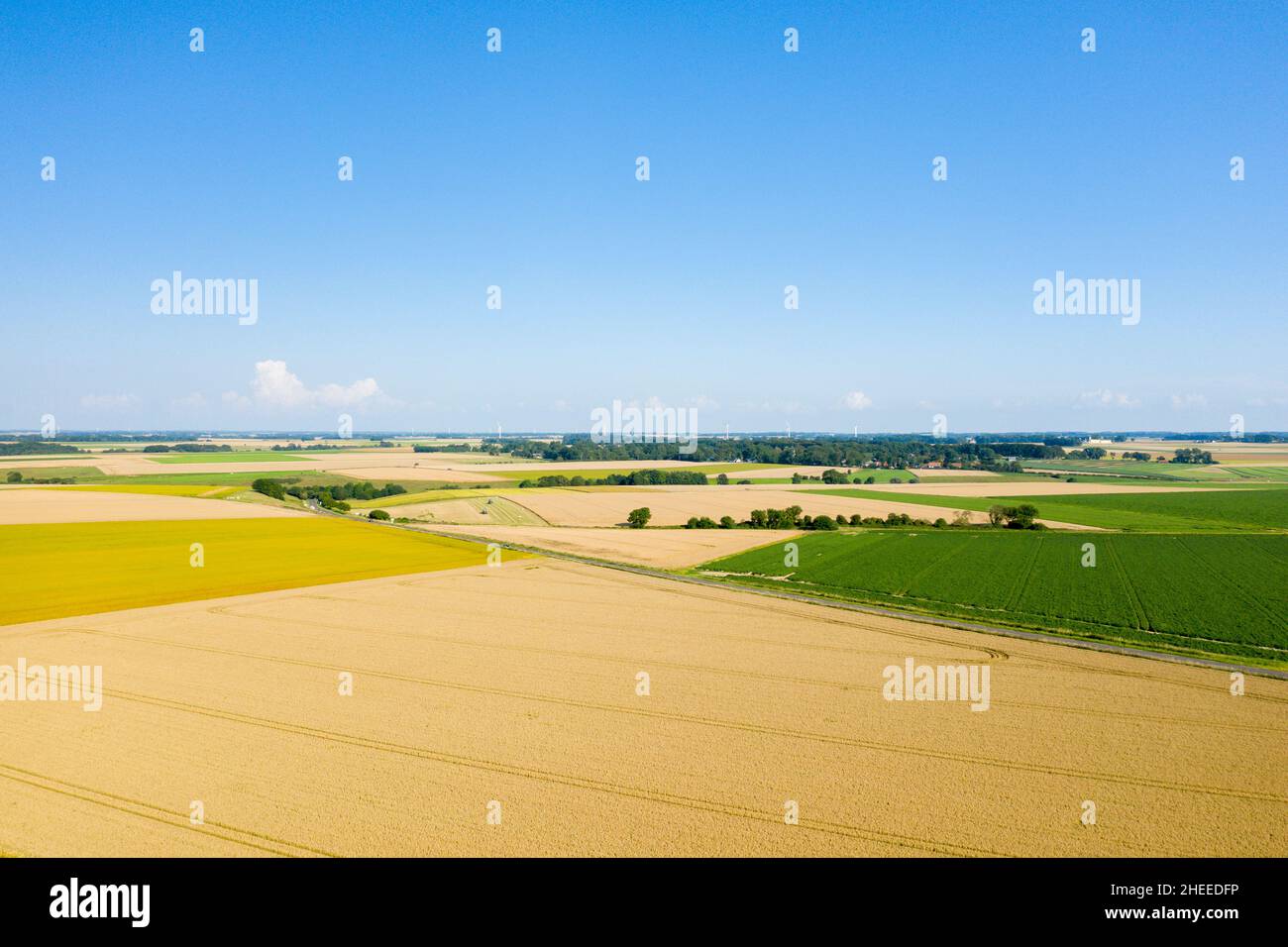 Questa foto di paesaggio è stata scattata in Europa, Francia, Normandia, in estate. Vediamo qui i campi di grano e lino nella campagna francese, sotto il Foto Stock