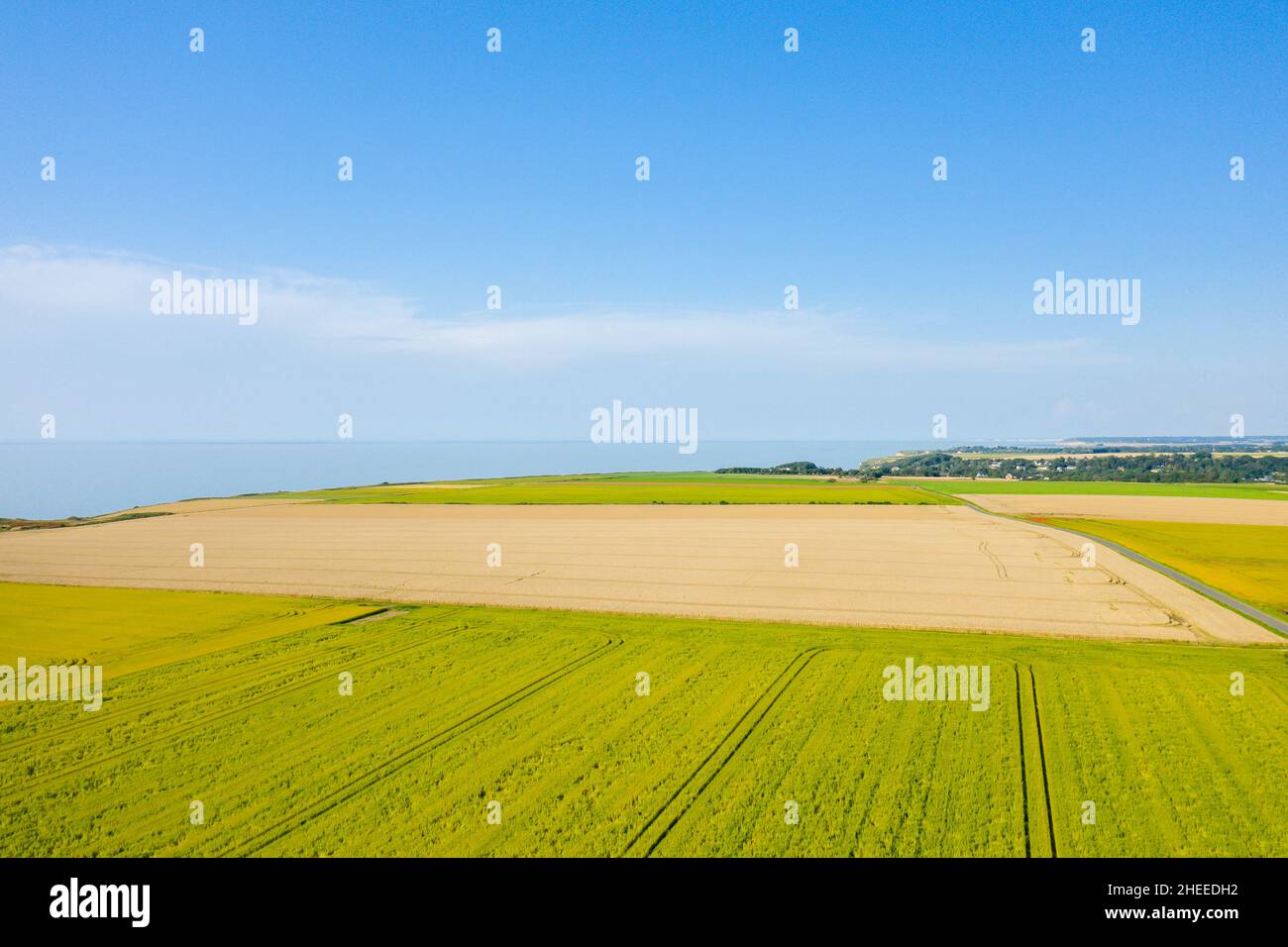 Questa foto di paesaggio è stata scattata in Europa, Francia, Normandia, in estate. Vediamo i campi di grano e lino nella campagna della Normandia, sotto il Sole. Foto Stock