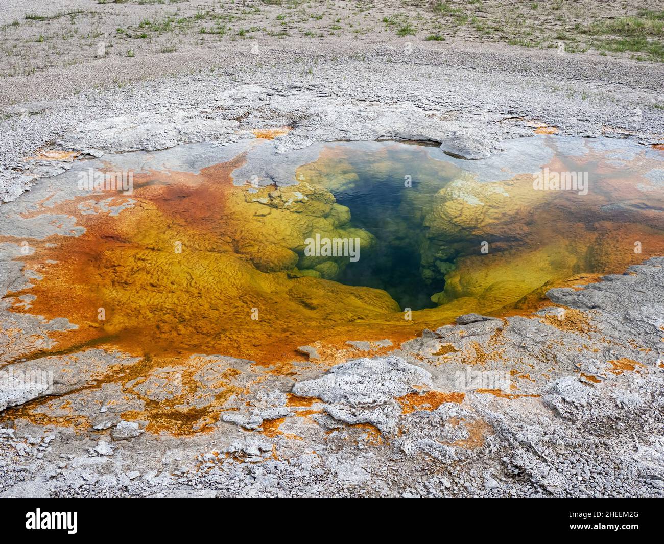 Spasmodic Geyser, nell'area di Norris Geyser Basin, Yellowstone National Park, Wyoming, USA. Foto Stock
