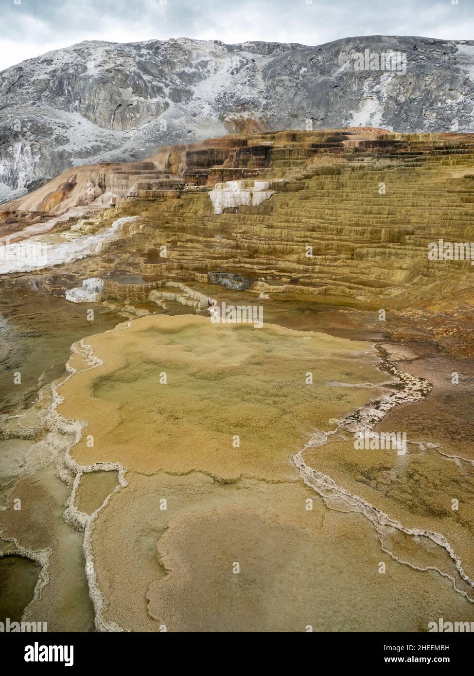Mammoth Hot Springs Terraces, Yellowstone National Park, Wyoming, USA. Foto Stock