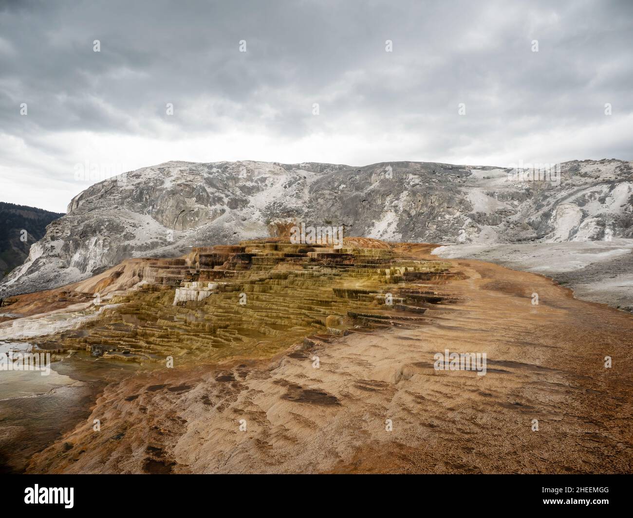 Mammoth Hot Springs Terraces, Yellowstone National Park, Wyoming, USA. Foto Stock