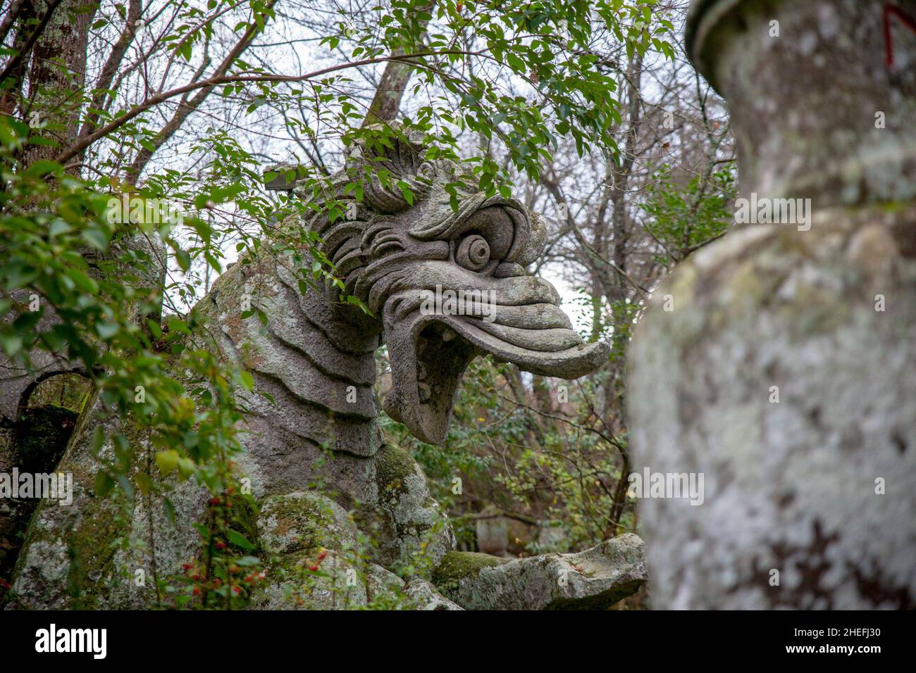Milano, Italia. 4th Jan 2022. La Tuscia e l'alta Tuscia di Viterbo, l'antica terra degli Etruschi (Credit Image: © Carlo Vergani/Pacific Press via ZUMA Press Wire) Foto Stock
