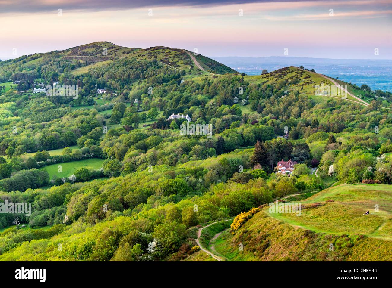 Vista dal British Camp Hill Fort, colline verdi ondulate, vegetazione lussureggiante, alberi verdi verdeggianti alla luce del sole di prima mattina. Foto Stock