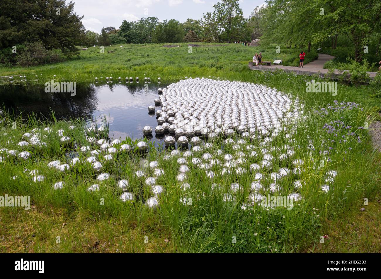 New York, NY, USA. Maggio 23, 2021. Vista del 'Giardino Narcissus', dalla mostra "Cosmic Nature" dell'artista giapponese Yayoi Kusama al Giardino Botanico di NY. Foto Stock