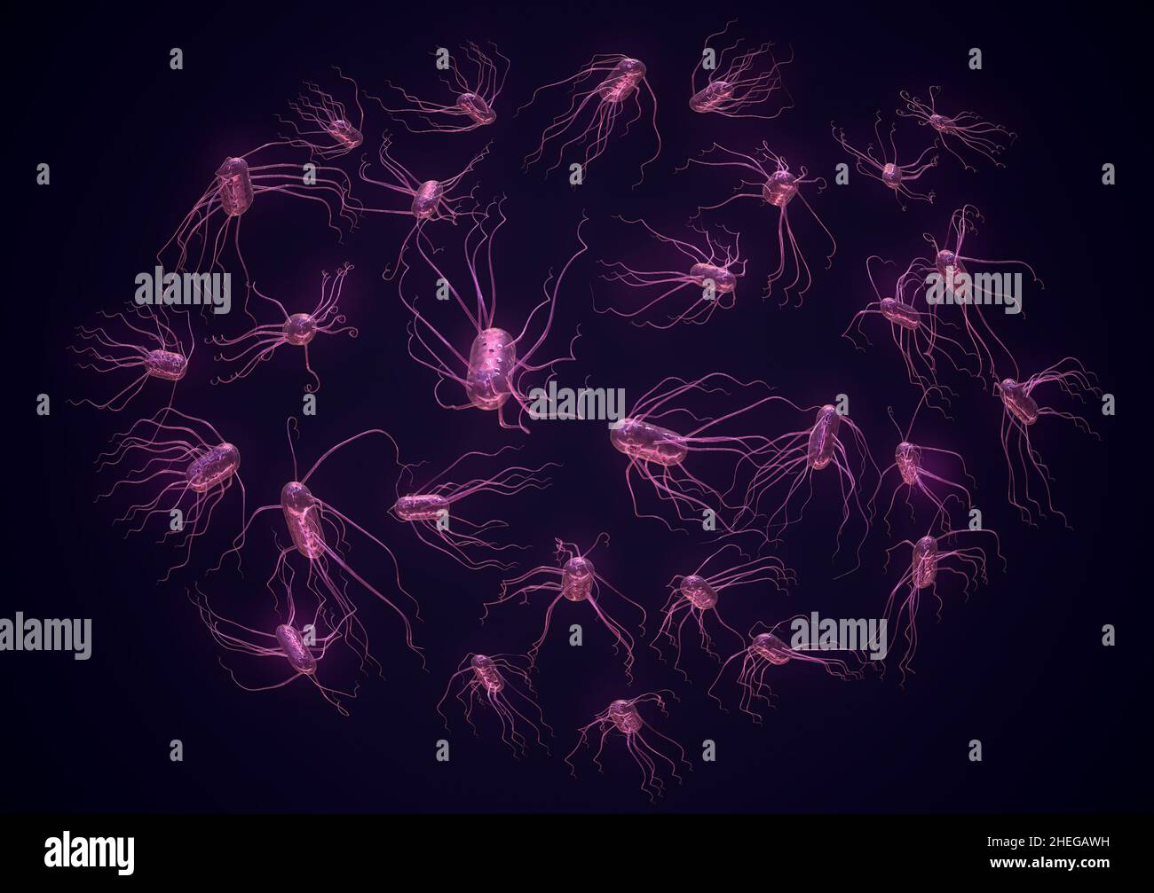 3d resa della salmonella, agente causale della salmonellosi. Foto Stock