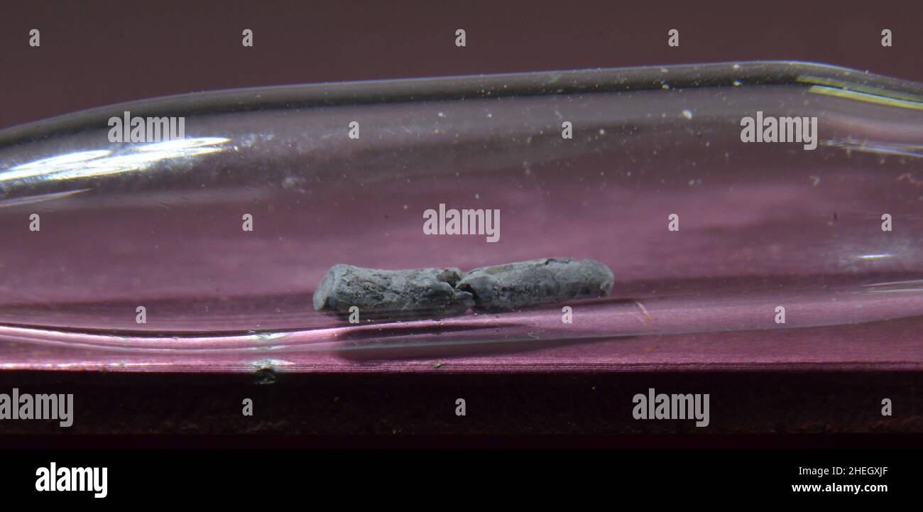 Microfoto di un campione dell'elemento periodico N° 81: Tallio. Il metallo tossico viene conservato in una fiala di vetro Foto Stock