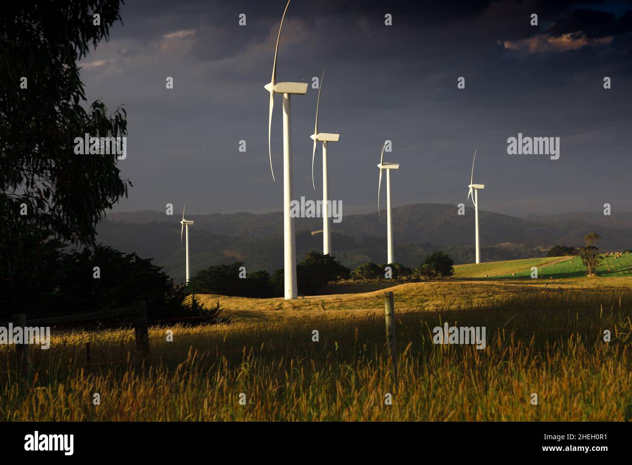 La fonte di energia sostenibile sta diventando popolare giorno dopo giorno, mentre il governo e le imprese private fanno passi avanti per aiutare il settore a svilupparsi. Foto Stock