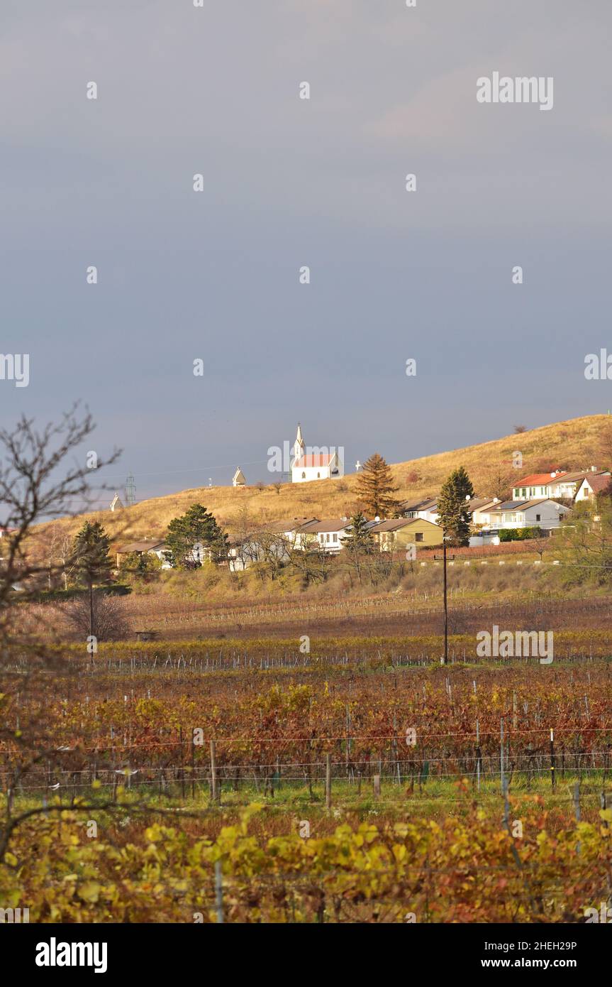 Piccola cappella e vigneti vicino Neusiedl am See, Burgenland, Austria, verticale Foto Stock