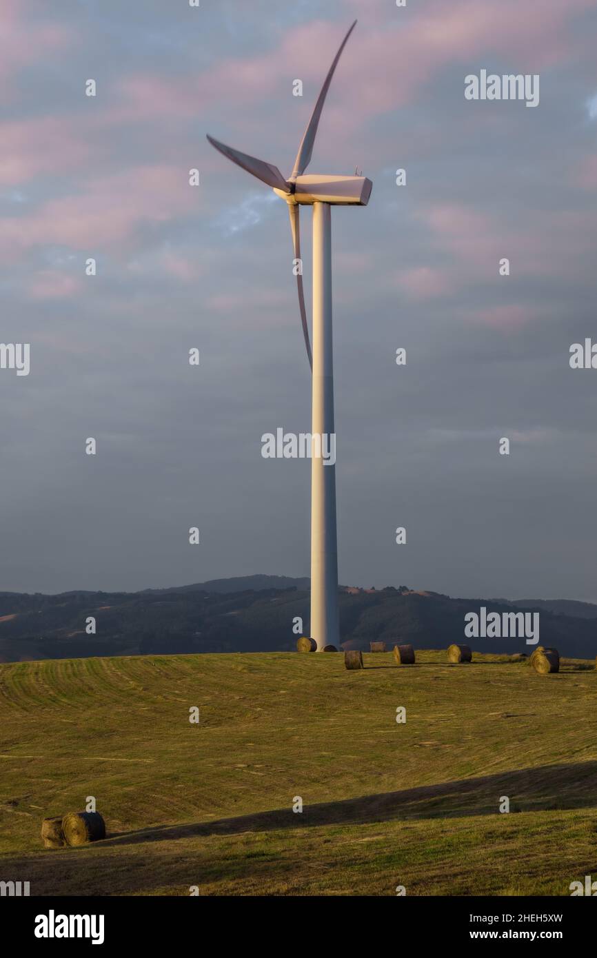 La fonte di energia sostenibile sta diventando popolare giorno dopo giorno, mentre il governo e le imprese private fanno passi avanti per aiutare il settore a svilupparsi. Foto Stock