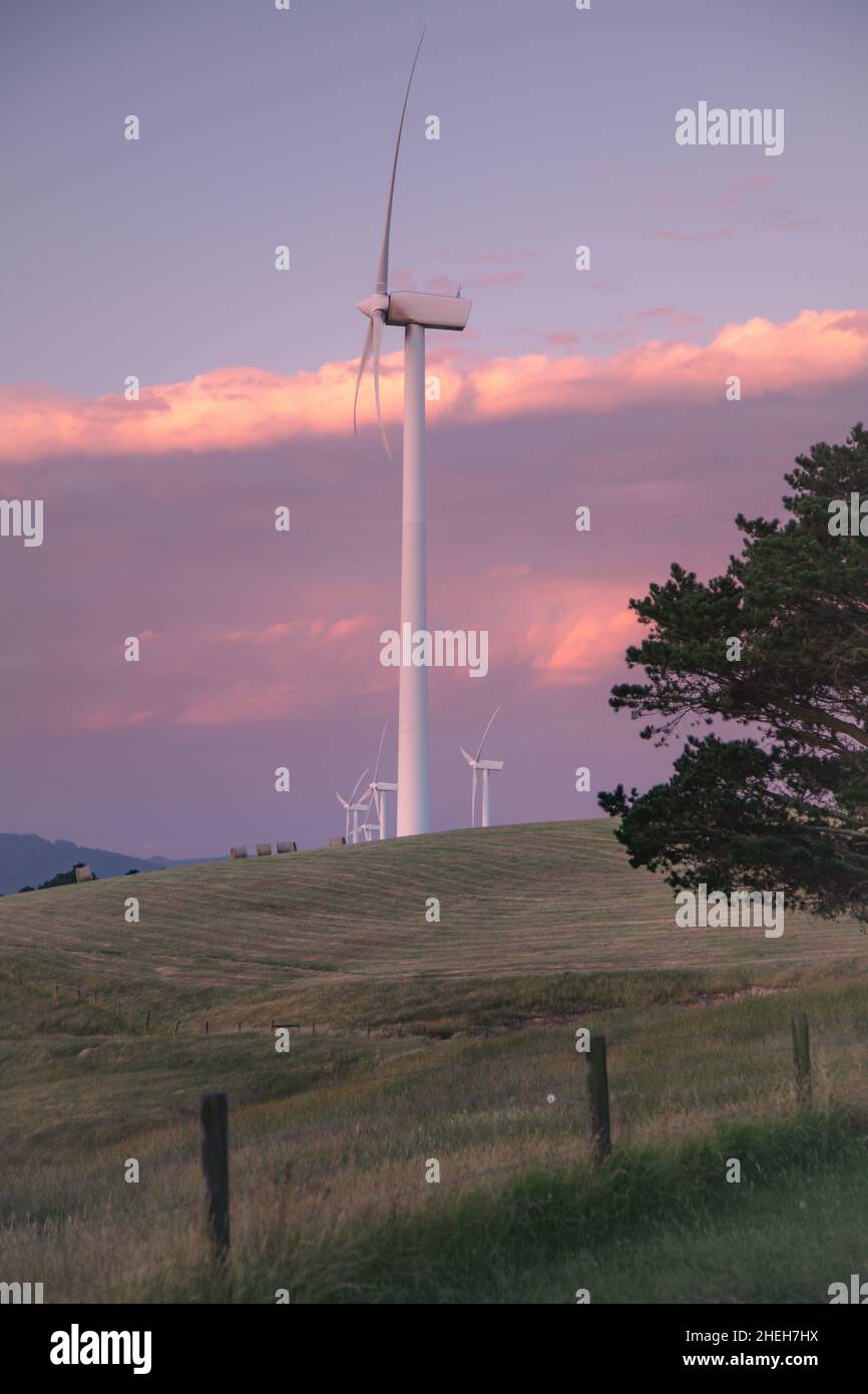 La fonte di energia sostenibile sta diventando popolare giorno dopo giorno, mentre il governo e le imprese private fanno passi avanti per aiutare il settore a svilupparsi. Foto Stock