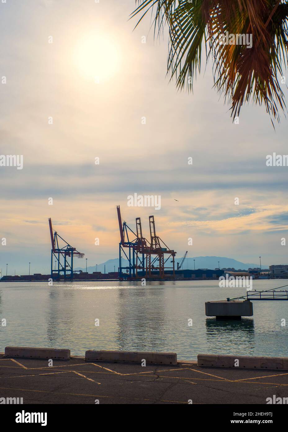 Grandi gru su una delle banchine nel porto di Malaga al tramonto. Foto Stock