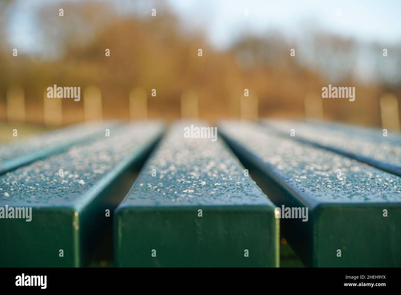Primo piano di un parco pubblico ghiacciato su una fredda mattinata invernale britannica. Foto Stock